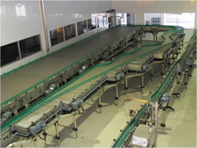 일본 S사 TT Chain conveyor